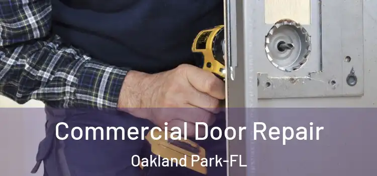  Commercial Door Repair Oakland Park-FL